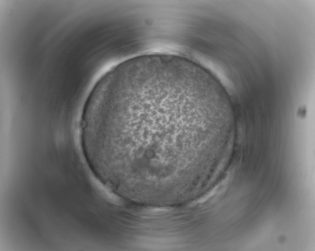 X0000103321471200809192128