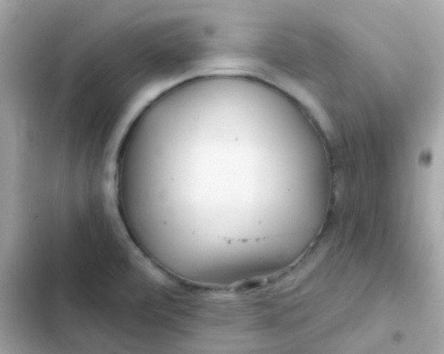 X0000103321472200809192128