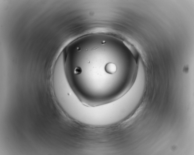 X0000103321473200809192128