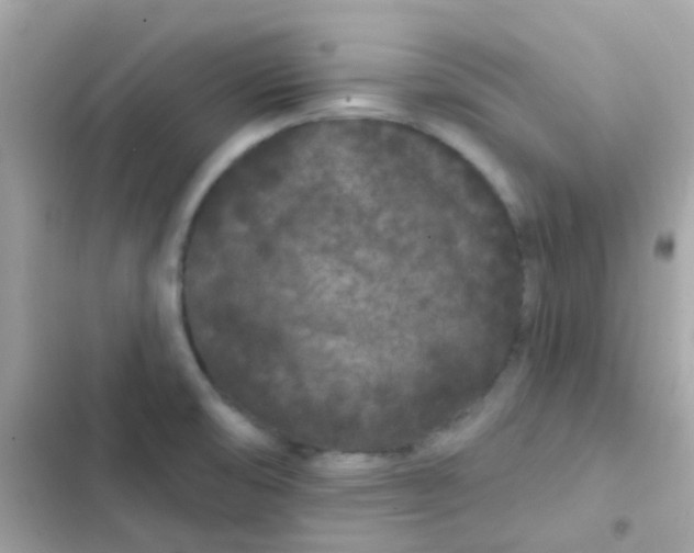 X0000103321474200809192128