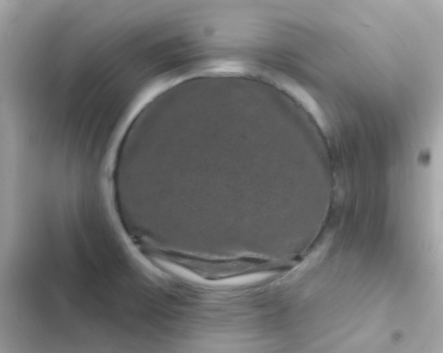 X0000103321475200809192128