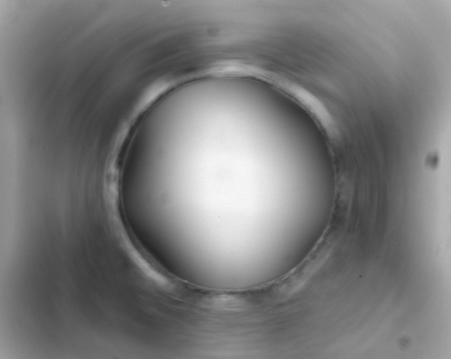 X0000103321476200809192128