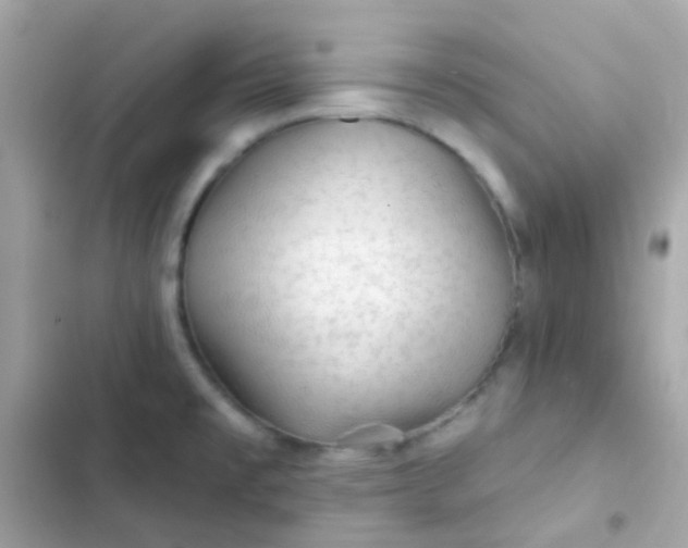 X0000103321477200809192128