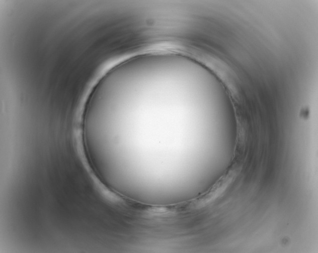 X0000103321478200809192128