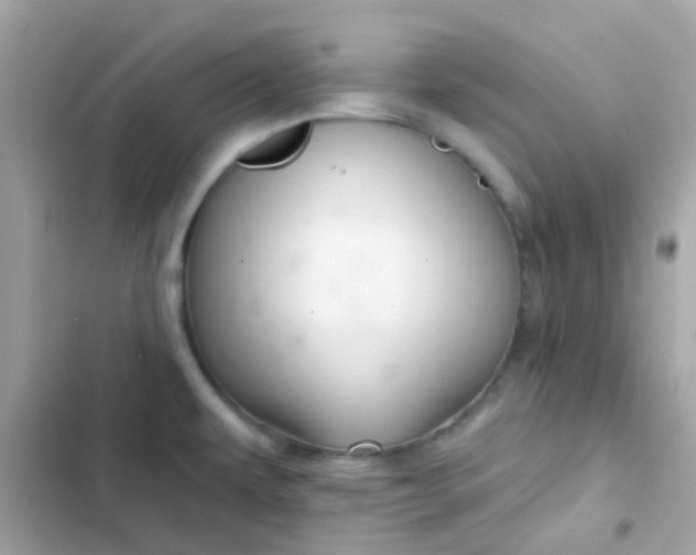 X0000103321479200809192128