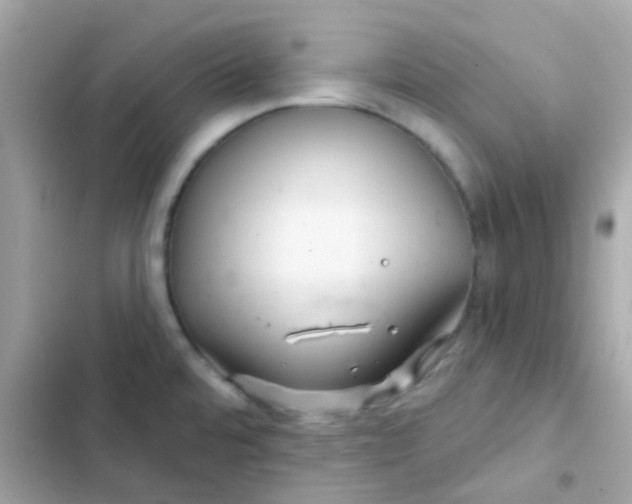 X0000103321480200809192128