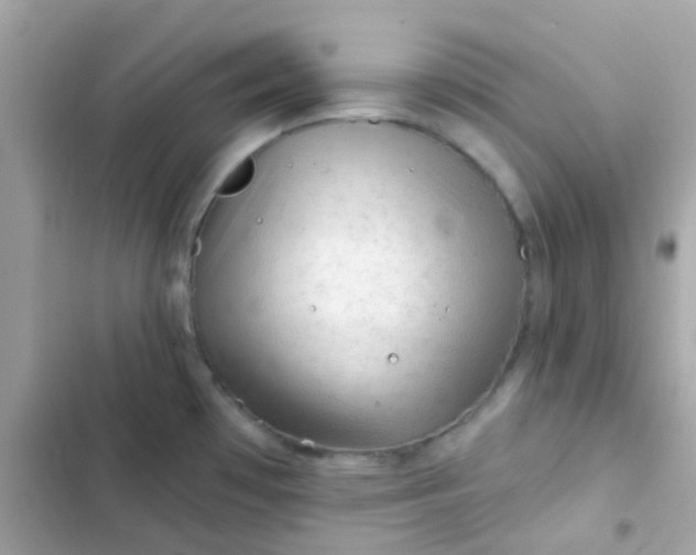 X0000103321481200809192128