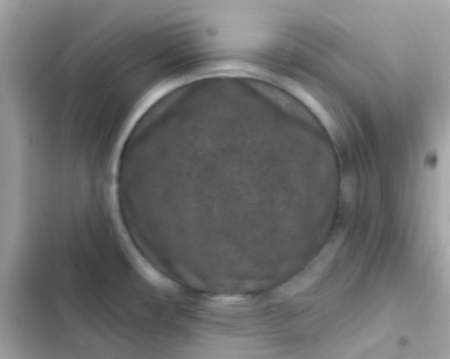 X0000103321482200809192128