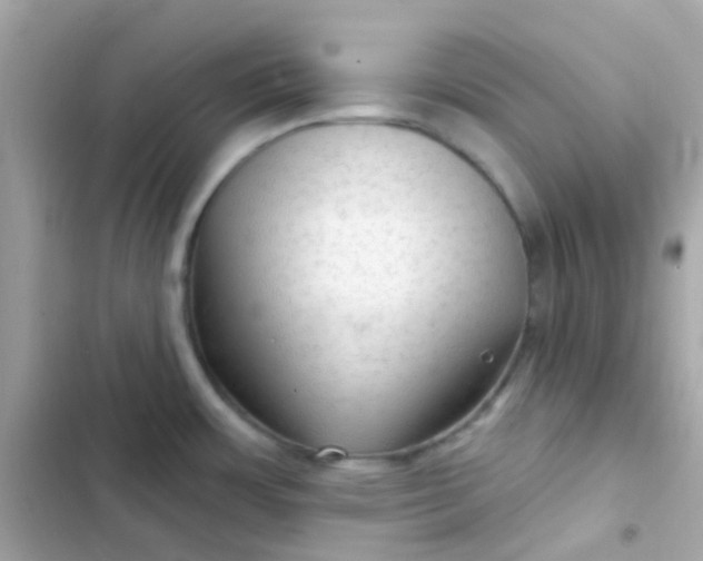 X0000103321483200809192128