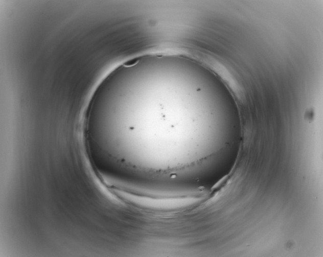 X0000103321484200809192128