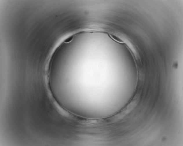 X0000103321485200809192128