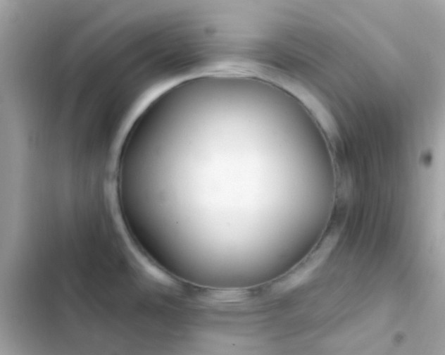 X0000103321486200809192128