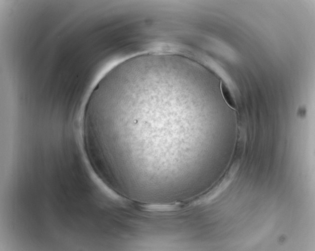 X0000103321487200809192128