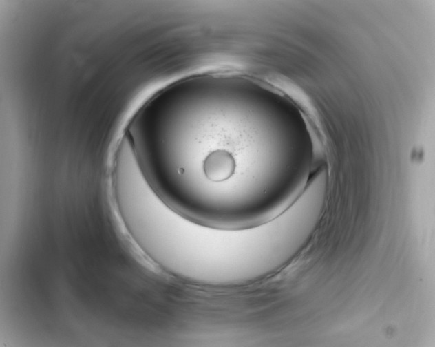 X0000103321488200809192128