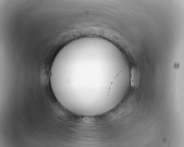 X0000103321491200809192127