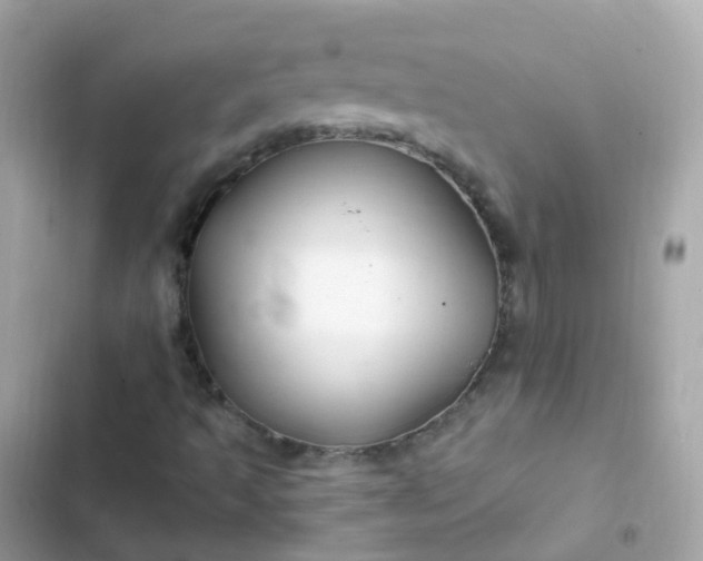 X0000103321493200809192127