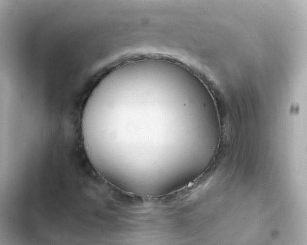 X0000103321494200809192127