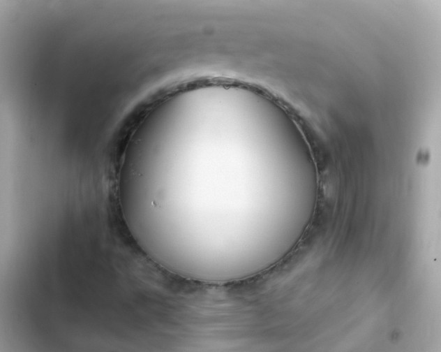 X0000103321495200809192127