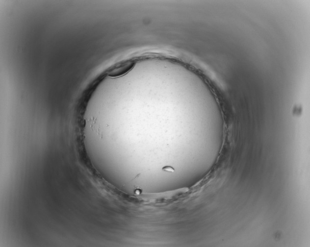 X0000103321496200809192127