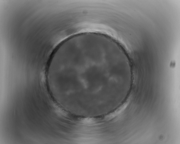 X0000103321497200809192127