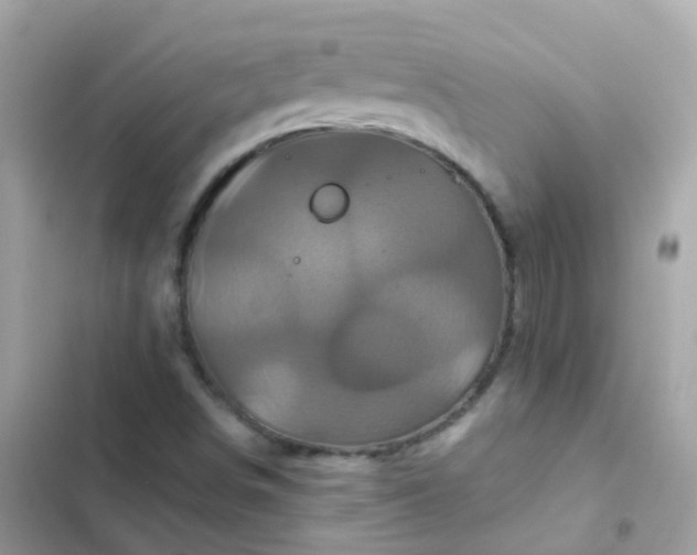 X0000103321498200809192127