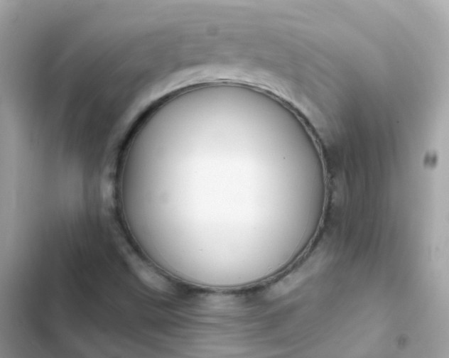 X0000103321499200809192127