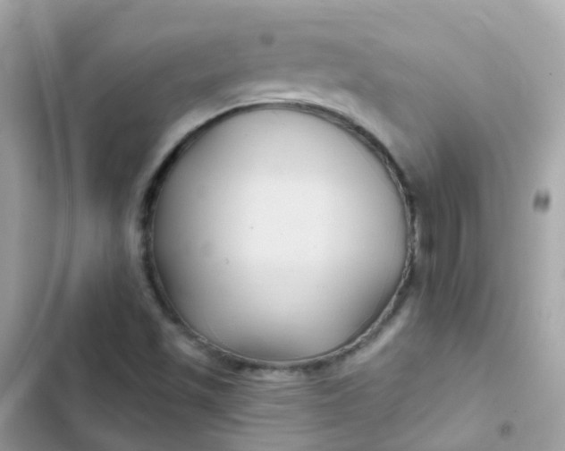 X0000103321501200809192127