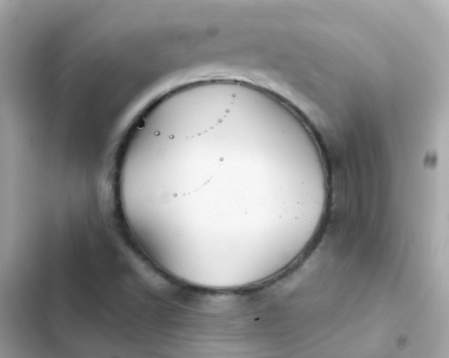 X0000103321502200809192127