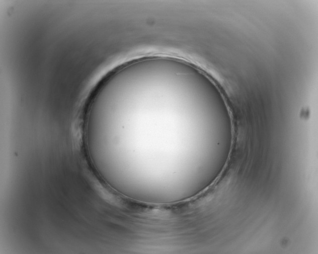 X0000103321503200809192127