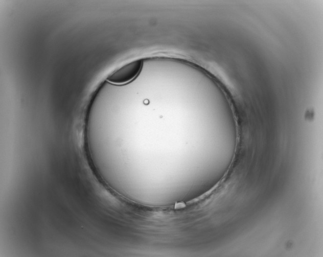 X0000103321504200809192127