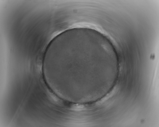 X0000103321505200809192127