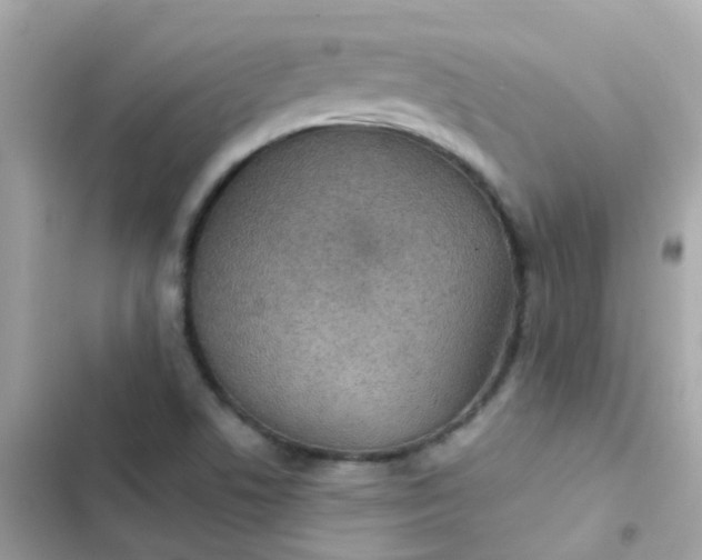 X0000103321506200809192127