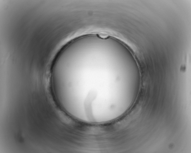 X0000103321507200809192128