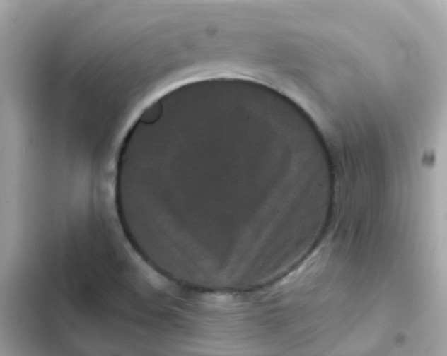 X0000103321508200809192128