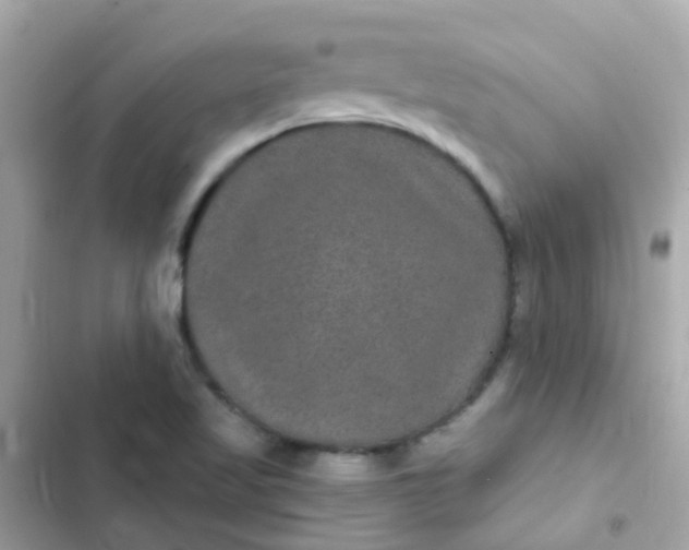 X0000103321509200809192128