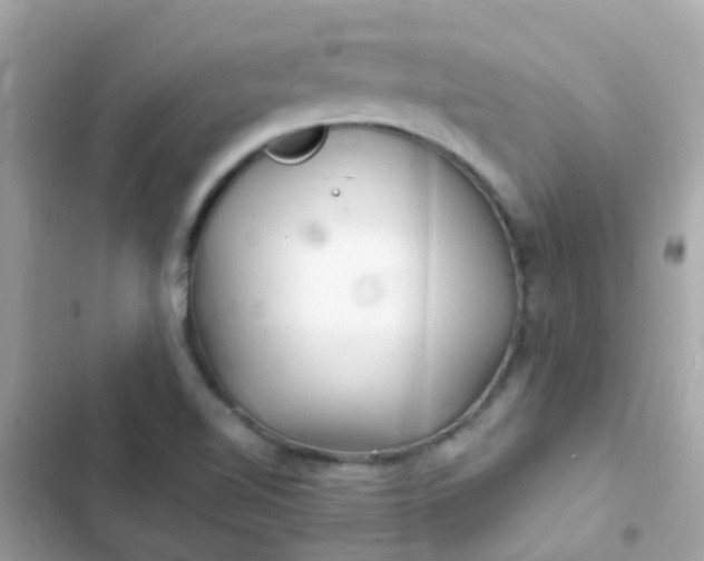 X0000103321510200809192128