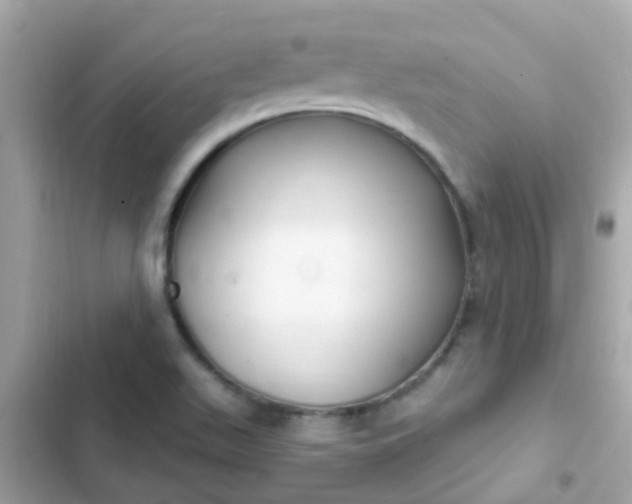 X0000103321511200809192128