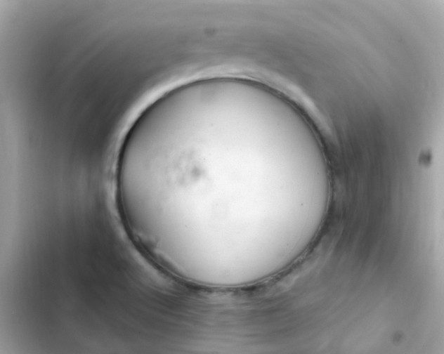 X0000103321512200809192128