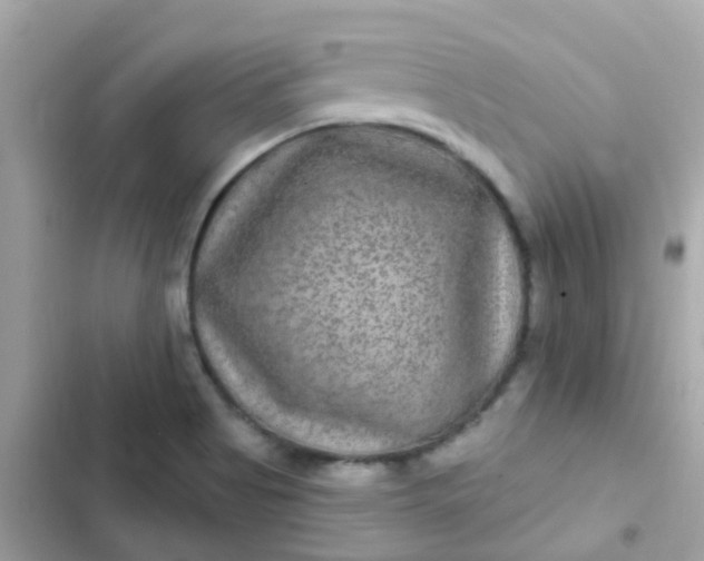 X0000103321513200809192128