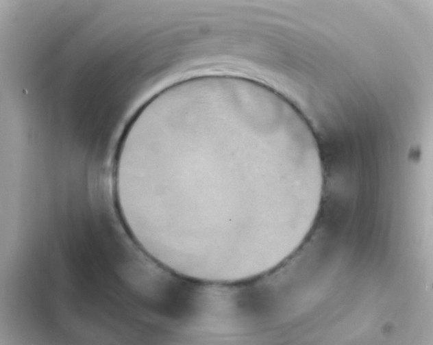 X0000103321514200809192128