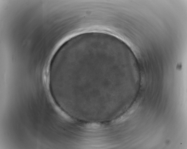 X0000103321515200809192128