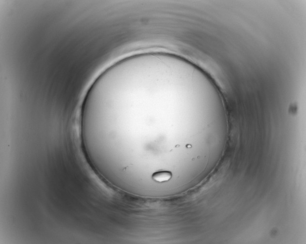 X0000103321516200809192128