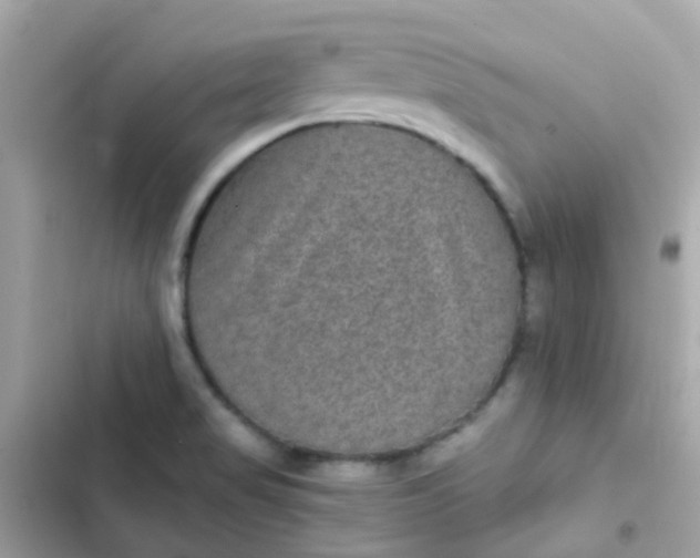 X0000103321517200809192128