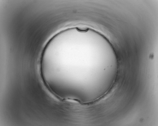 X0000103321518200809192128