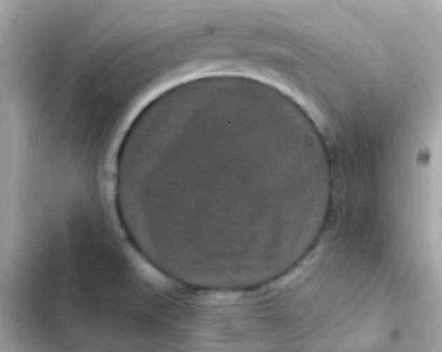 X0000103321519200809192128