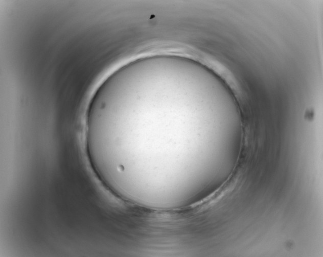 X0000103321520200809192128