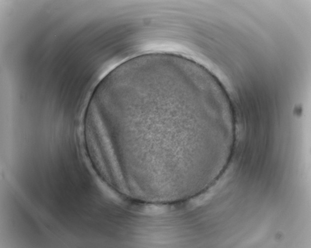 X0000103321521200809192128