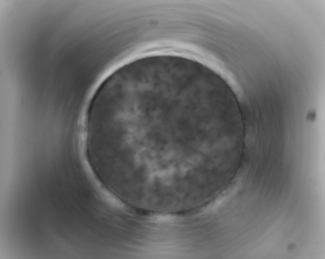 X0000103321522200809192128