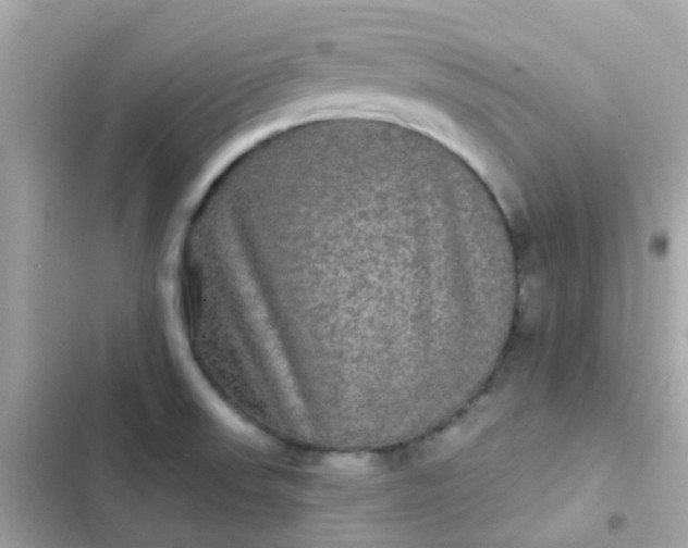 X0000103321523200809192128