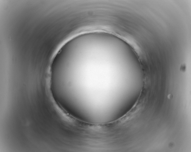 X0000103321524200809192128